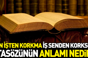 sen-isten-korkma-is-senden-korksun-atasozunun-manasi-nedir-WDerh8YM.jpg