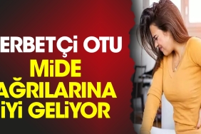 serbetci-otu-mide-agrilarina-uygun-geliyor-ty3JT1Uh.jpg