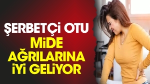 serbetci-otu-mide-agrilarina-uygun-geliyor-ty3JT1Uh.jpg