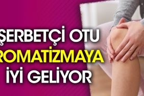 serbetci-otu-romatizmaya-guzel-geliyor-mpTMqsbk.jpg