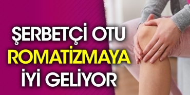 serbetci-otu-romatizmaya-guzel-geliyor-mpTMqsbk.jpg
