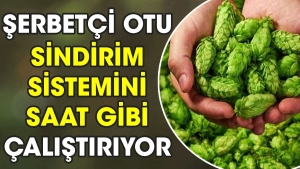 serbetci-otu-sindirim-sistemini-saat-uzere-calistiriyor-las9vm9n.jpg