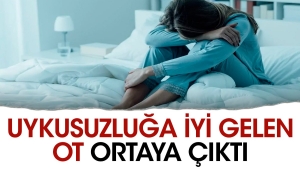 serbetci-otu-uykusuzluga-bu-turlu-uygun-geliyor-6bOUGUra.jpg