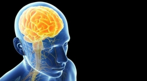 serebral-palsi-nedir-serebral-palsi-belirtileri-neler-dsGsVeQB.jpg