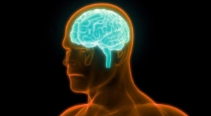 serebral-palsi-nedir-serebral-palsi-belirtileri-neler-tedavisi-mumkun-mu-BiqhrgWs.jpg