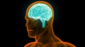 serebral-palsi-nedir-serebral-palsi-nedenleri-neler-AIP1JZWC.jpg