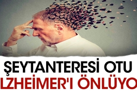 seytanteresi-otu-alzheimeri-onluyor-IInSHP2n.jpg