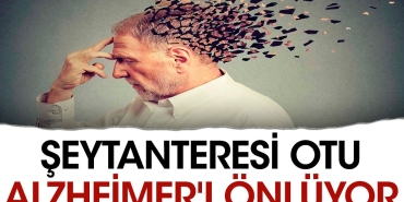 seytanteresi-otu-alzheimeri-onluyor-IInSHP2n.jpg