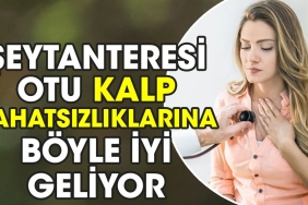seytanteresi-otu-kalp-rahatsizliklarina-bu-turlu-yeterli-geliyor-9b3AsbS9.jpg
