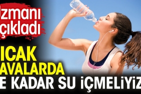 sicak-havalarda-ne-kadar-su-icmeliyiz-uzmani-acikladi-xfba1jl4.jpg