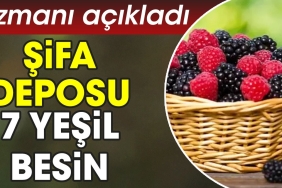 sifa-deposu-7-yesil-besin-uzmani-acikladi-S9cnxHQL.jpg
