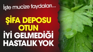 sifa-deposu-otun-duzgun-gelmedigi-hastalik-yok-iste-mucize-yararlari-1fulaR1e.jpg