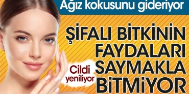 sifali-bitkinin-yararlari-saymakla-bitmiyor-agiz-kokusunu-gideriyor-cildi-yeniliyor-DattGUi9.jpg