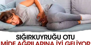 sigirkuyrugu-otu-mide-agrilarina-guzel-geliyor-PG7VXzau.jpg