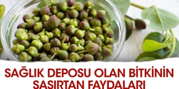 sihhat-deposu-olan-bitkinin-sasirtan-yararlari-LTtDieXc.jpg