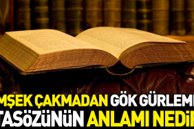 simsek-cakmadan-gok-gurlemez-atasozunun-manasi-nedir-wEBKJ2q6.jpg