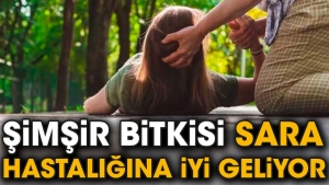 simsir-bitkisi-sara-hastaligina-duzgun-geliyor-rJF4AhJE.jpg