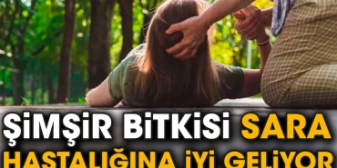 simsir-bitkisi-sara-hastaligina-duzgun-geliyor-rJF4AhJE.jpg
