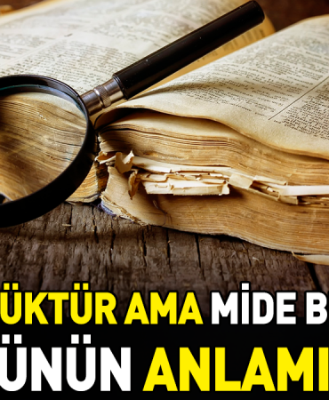sinek-kucuktur-fakat-mide-bulandirir-atasozunun-manasi-nedir-USibqKlE.jpg