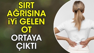 sirt-agrisina-guzel-gelen-ot-ortaya-cikti-XvVwxWee.jpg