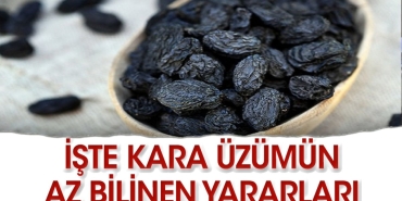 siyah-uzumun-yararlari-bilimsel-olarak-kanitlandi-93UkAUTd.jpg
