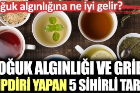 soguk-alginligi-ve-gribi-dipdiri-yapan-5-sihirli-tanim-soguk-alginligina-ne-l-gelir-ig92L28H.jpg
