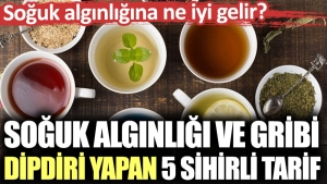 soguk-alginligi-ve-gribi-dipdiri-yapan-5-sihirli-tanim-soguk-alginligina-ne-l-gelir-ig92L28H.jpg