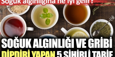 soguk-alginligi-ve-gribi-dipdiri-yapan-5-sihirli-tanim-soguk-alginligina-ne-l-gelir-ig92L28H.jpg