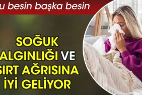 soguk-alginligi-ve-sirt-agrisina-uygun-geliyor-bu-besin-obur-besin-EgWNsx5B.jpg