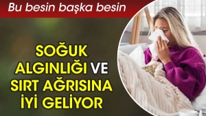soguk-alginligi-ve-sirt-agrisina-uygun-geliyor-bu-besin-obur-besin-EgWNsx5B.jpg