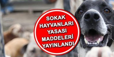 sokak-hayvanlari-kanunu-resmi-gazetede-son-dakika-sokak-hayvanlari-yasasi-yururluge-girdi-mi-tckUEDwm.jpg