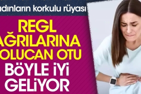 solucan-otu-bayanlarin-dehsetli-dusu-regl-agrilarina-bu-turlu-l-geliyor-vO5k3Ky3.jpg