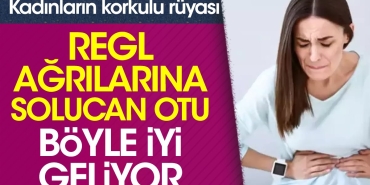 solucan-otu-bayanlarin-dehsetli-dusu-regl-agrilarina-bu-turlu-l-geliyor-vO5k3Ky3.jpg