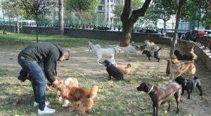 son-dakika-bu-isi-yapanlar-ayda-5-6-bin-lira-kazaniyor-2RMBrCEy.jpg