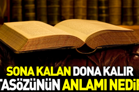 sona-kalan-dona-kalir-atasozunun-manasi-nedir-lrY8Z8T8.jpg