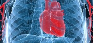 stent-nedir-ZzzcqWBc.jpg