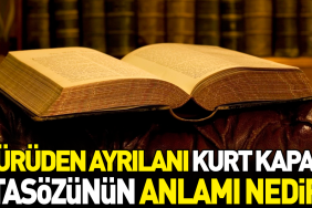 suruden-ayrilani-kurt-kapar-atasozunun-manasi-nedir-jcESRPpk.jpg