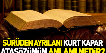 suruden-ayrilani-kurt-kapar-atasozunun-manasi-nedir-jcESRPpk.jpg