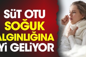 sut-otu-soguk-alginligina-l-geliyor-7mHgqp1y.jpg