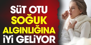 sut-otu-soguk-alginligina-l-geliyor-7mHgqp1y.jpg