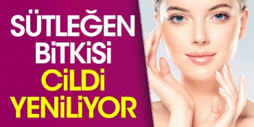 sutlegen-bitkisi-cildi-yeniliyor-jxYuxbHx.jpg