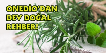 tabiatin-mucizevi-yararlarindan-yararlanin-iste-onediodan-dev-dogal-rehber-lRxIsBKE.jpg