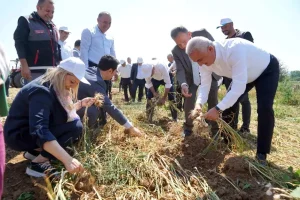 taskopru-sarimsaginin-hasadi-devam-ediyor-rzKQPDsw.jpg