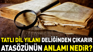 tatli-lisan-yilani-deliginden-cikarir-atasozunun-manasi-nedir-RaUwgC43.jpg