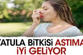 tatula-bitkisi-astima-duzgun-geliyor-QFGryL1b.jpg
