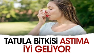 tatula-bitkisi-astima-duzgun-geliyor-QFGryL1b.jpg
