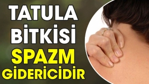 tatula-bitkisi-spazm-gidericidir-iErvuksO.jpg