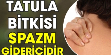 tatula-bitkisi-spazm-gidericidir-iErvuksO.jpg