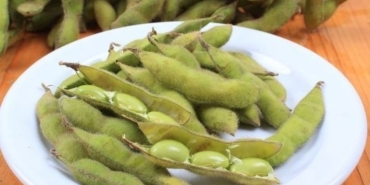 taze-fasulyeye-benzeyen-protein-zengini-besin-edamame-ve-bilinmeyen-yararlari-YUfYly2h.jpg