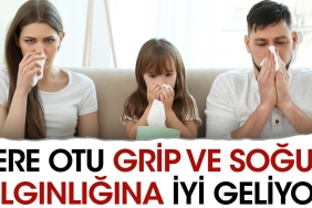 tere-otu-grip-ve-soguk-alginligina-duzgun-geliyor-fwsb1Vxr.jpg